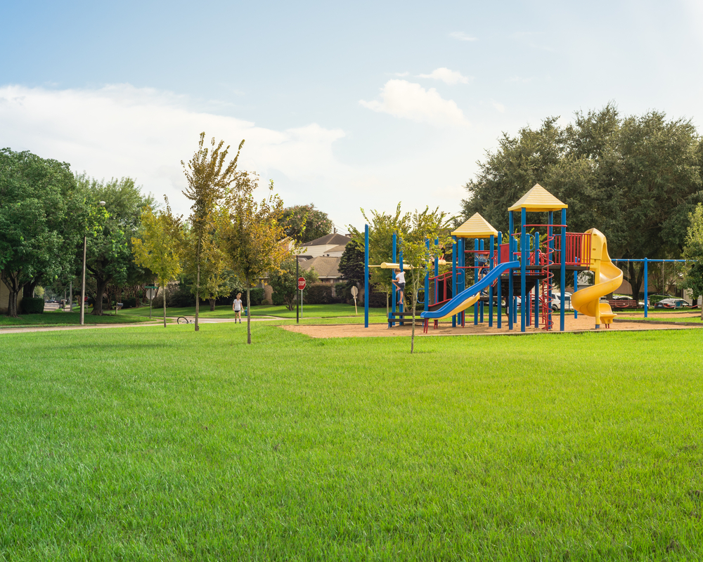 Grassy field with a play structure